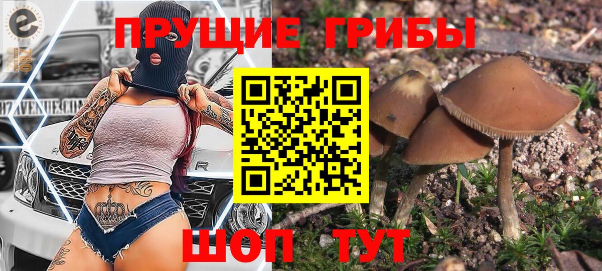 МЕТАДОН Апшеронск