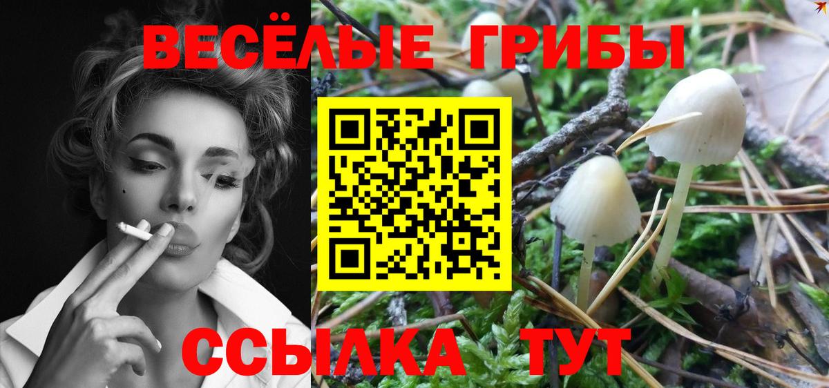 Апшеронск  Псилоцибиновые грибы MAGIC MUSHROOMS  Псилоцибиновые грибы Cubensis  Вход с VPN 